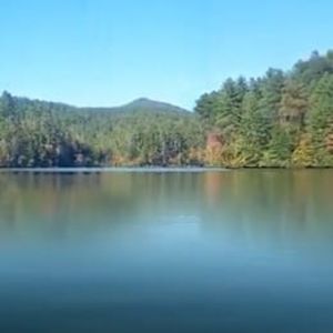 Meet your Posher, Payne